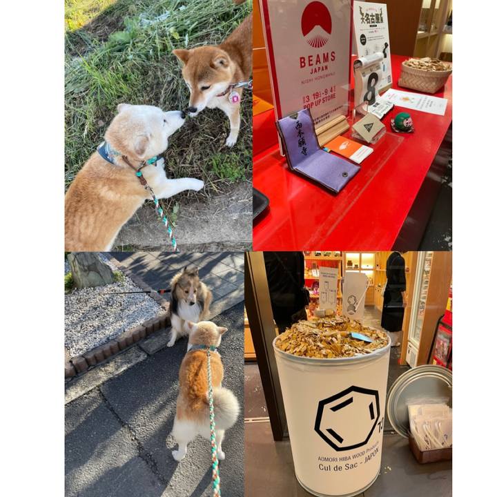 A300df09 799a 4a7e b71f d88b94167af9 1654682099684