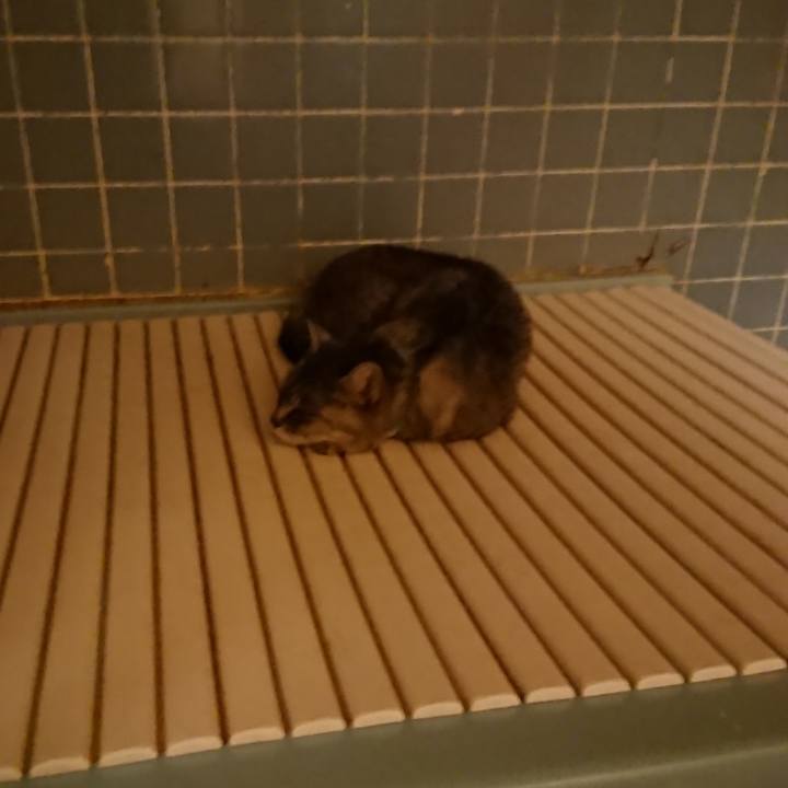 A301166b 6a0c 4d90 b0e4 9fadb10e996a 1572687221295