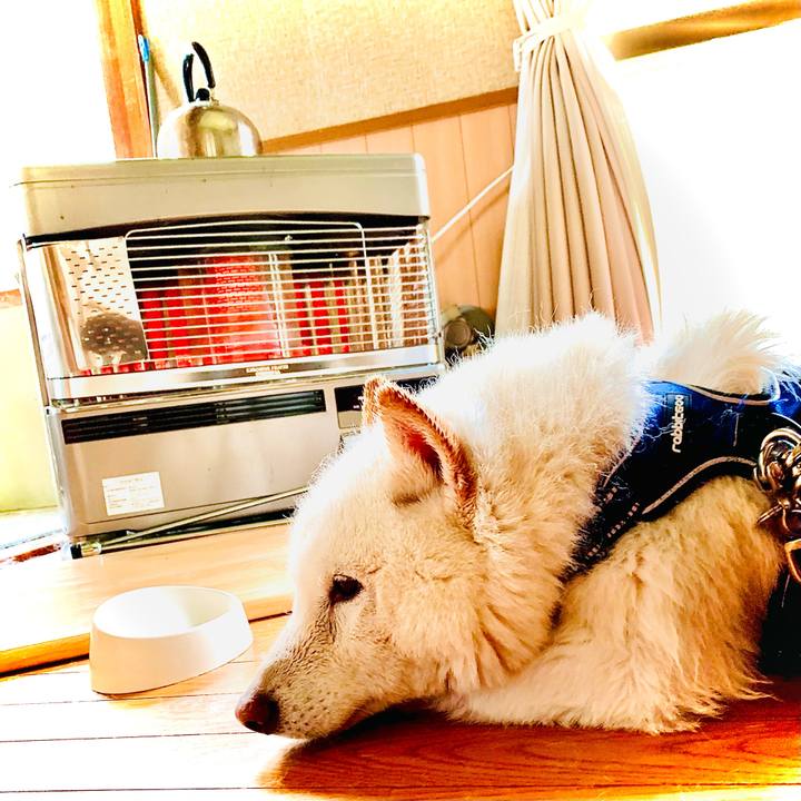 A301261c 8197 4acc 9f02 2634286d2e08 1651045523958