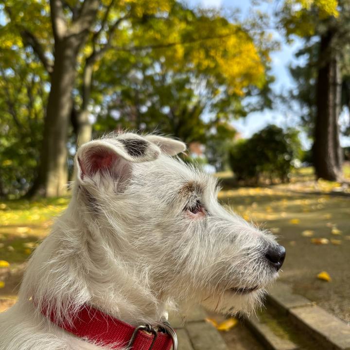 A3016e57 efd5 45f0 b4f4 c67df3fa680f 1762580480029