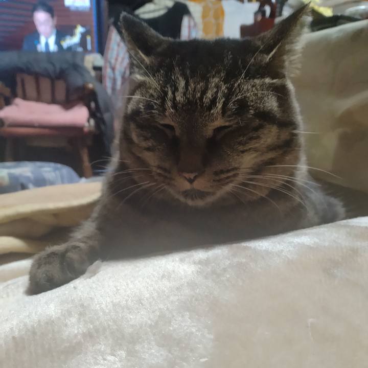 A3019175 8e93 409d b662 e90f82a48b11 1704144825506