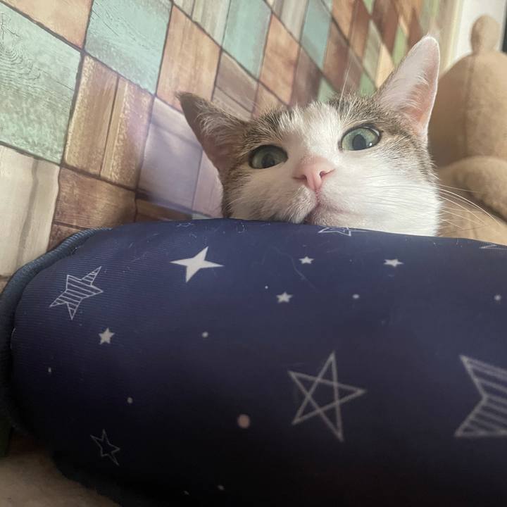 A30196ba cb35 4fa9 a1f2 7df908f2b575 1623751796633