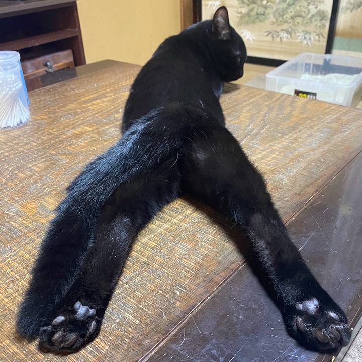 A301b209 415f 4473 82de 5e42542e1ed2 1763995341742