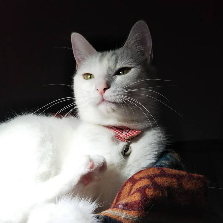 A301c851 0412 49bb 97f7 5e060fb7a722 1638020100073