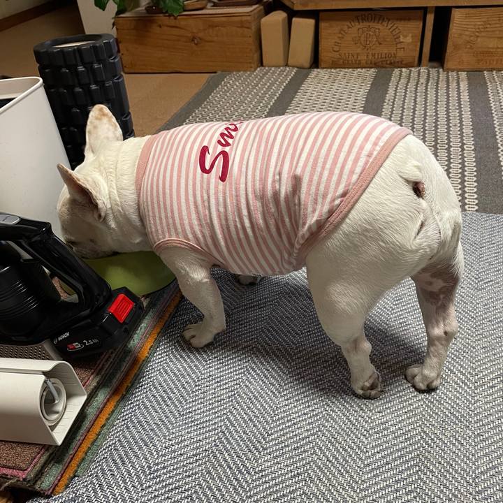 A301f7ed 39d0 4c42 8e3c ddb17546a711 1746834073895