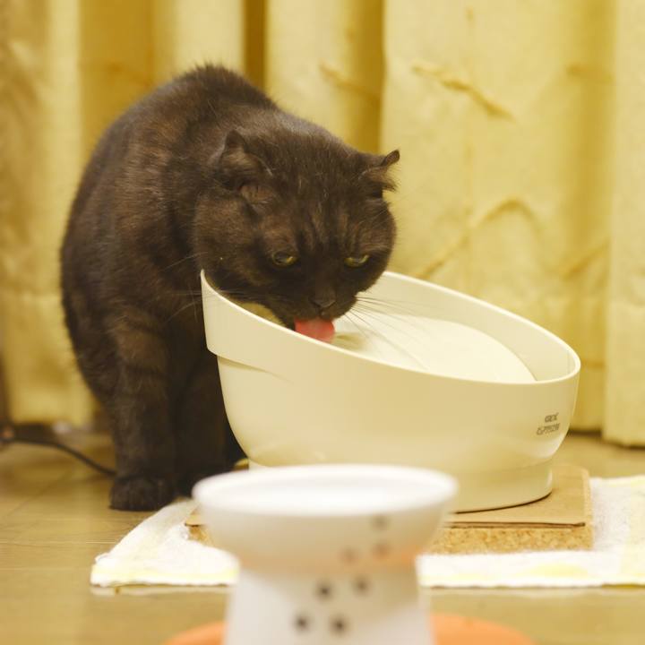 A302416f 9cf8 4ef4 8bc1 50db184b8eec 1603808947695