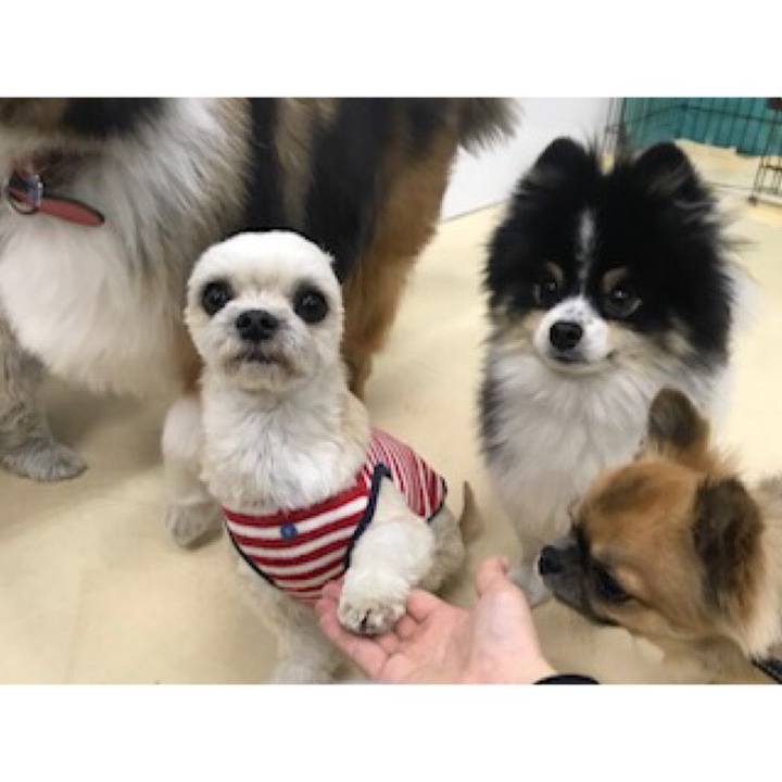 A3026079 b9c6 4aa7 8dbc 1b7bf30190e2 1548069365046