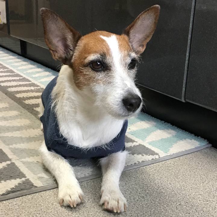 A302a87f 0986 4413 8db2 92486ebc134a 1553658039890