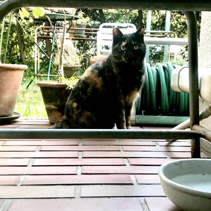 A302ce31 27d7 4486 aca8 2c7960333369 1521262200282