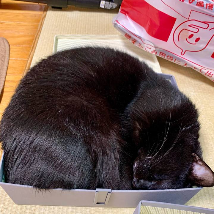 A302f062 96f9 4d38 ad4c 5cfaba00b0f5 1617419421739