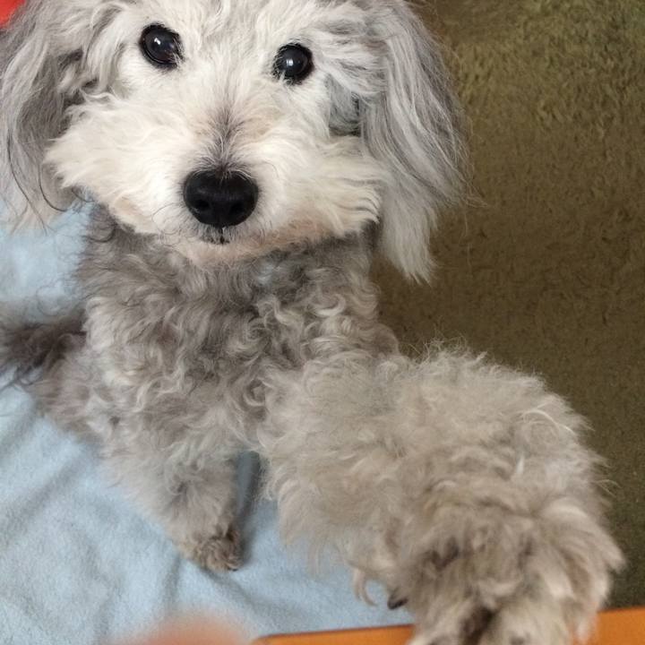 A302fbb2 155a 4ca2 bc44 69b460469f1e 1520550318019