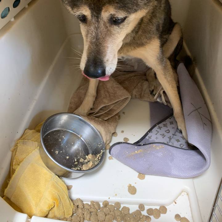 A3032cf1 71a4 4ebb 8da4 488482823136 1569633029461