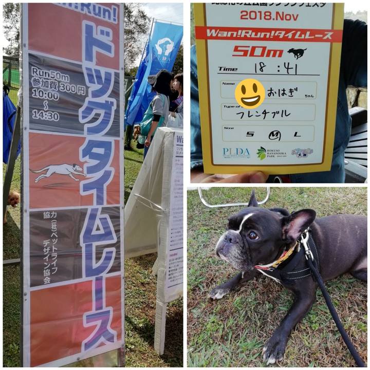 A30338b8 86c0 4dd8 8ef4 47cb4abd1953 1541847393113