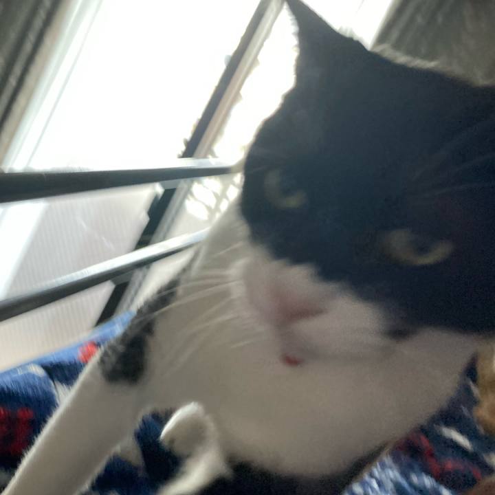 A3034a6a 14f6 4656 9ce5 8fee09981426 1613807604227