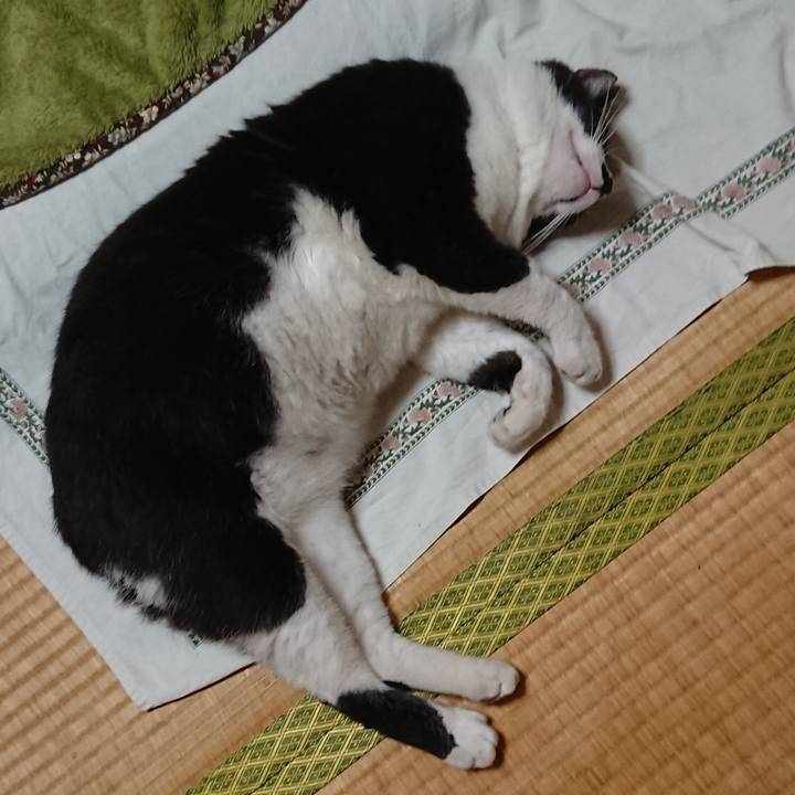 A3035983 f70e 44f4 a522 e6f8465b24e8 1536743722821