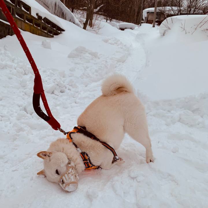 A30366d1 c0cf 47fe af49 a9f328755ade 1675981885180