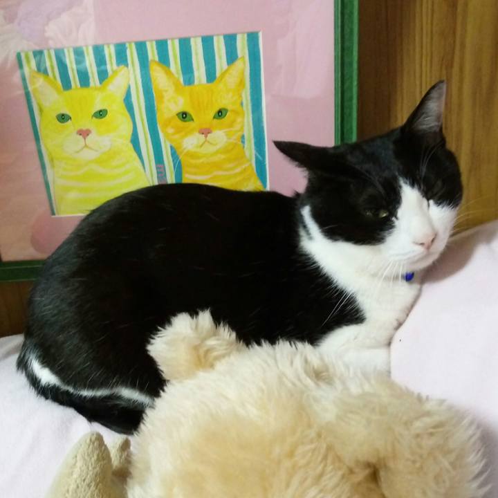 A30369c4 ad16 48ad b2b4 6e065773a79a 1522319309124