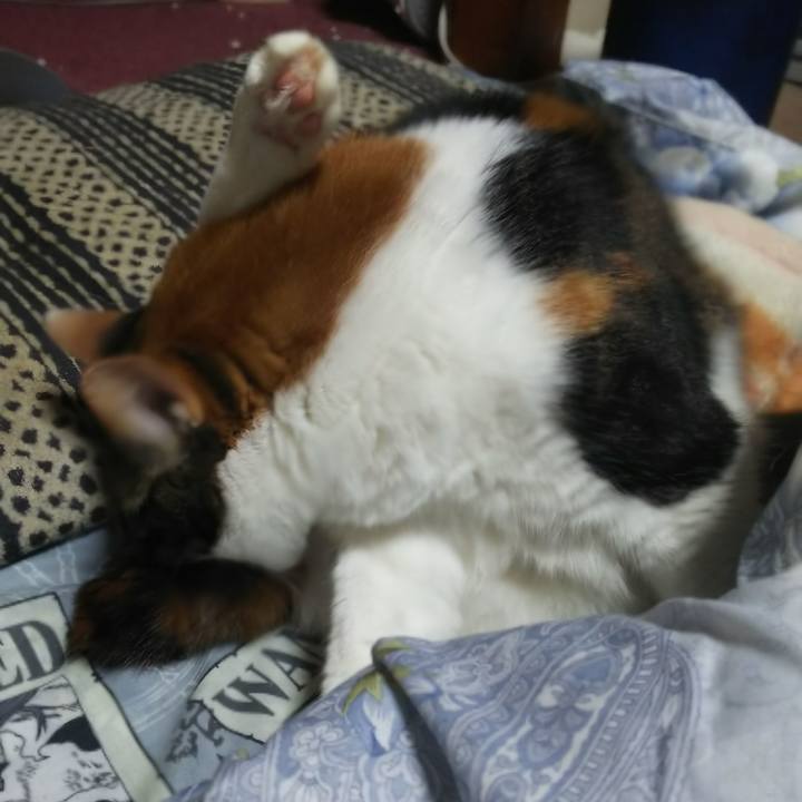 A303af00 91ec 4b6f 9cbc 0b0aa52df036 1546551381834