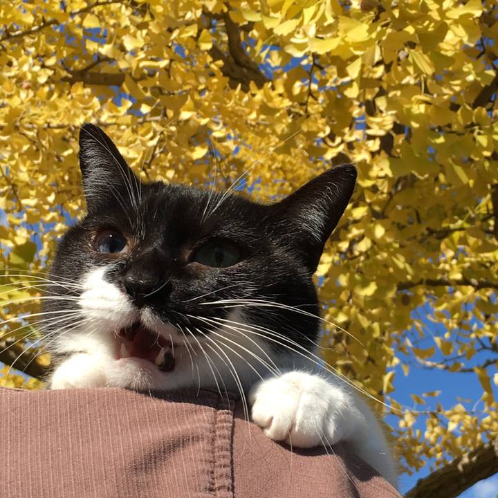 A303bcc6 6a3d 4ee4 ae32 5fa2379f4a28 1511535535303