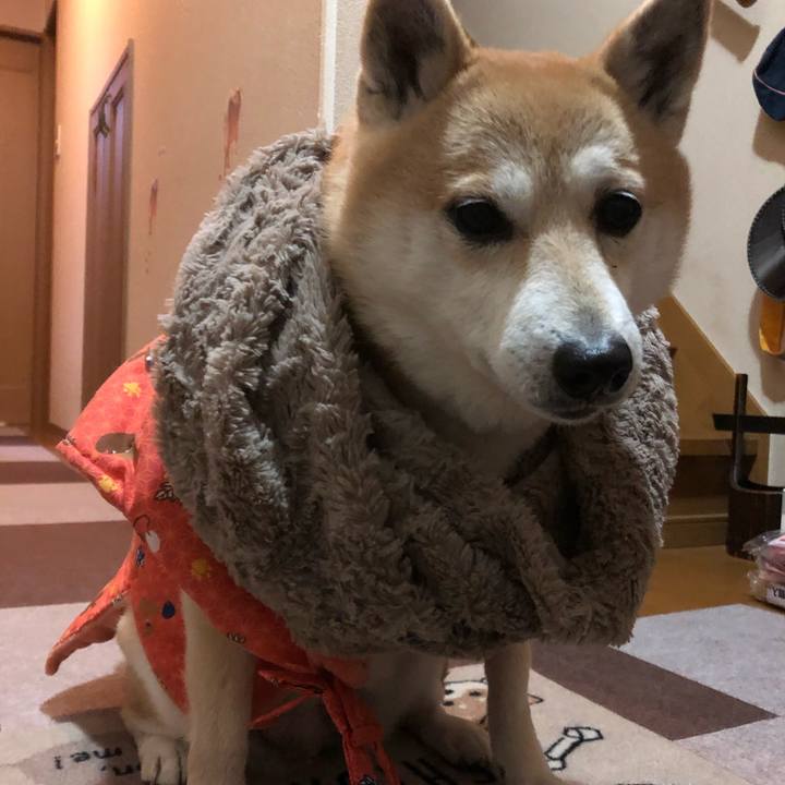 A3040193 38a3 4e70 a132 eb497db70f8a 1582181089677