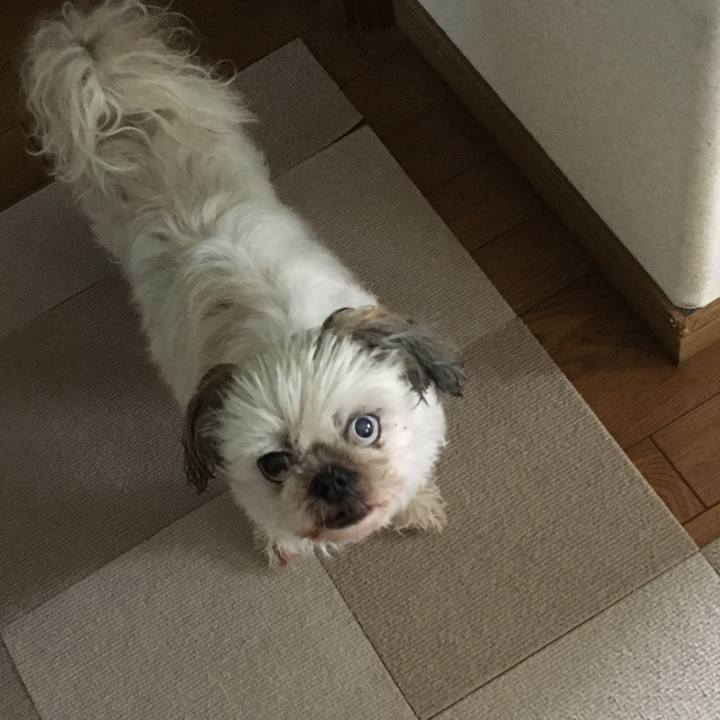 A3040492 3776 481b a5e8 6677e152bc9d 1625982782412