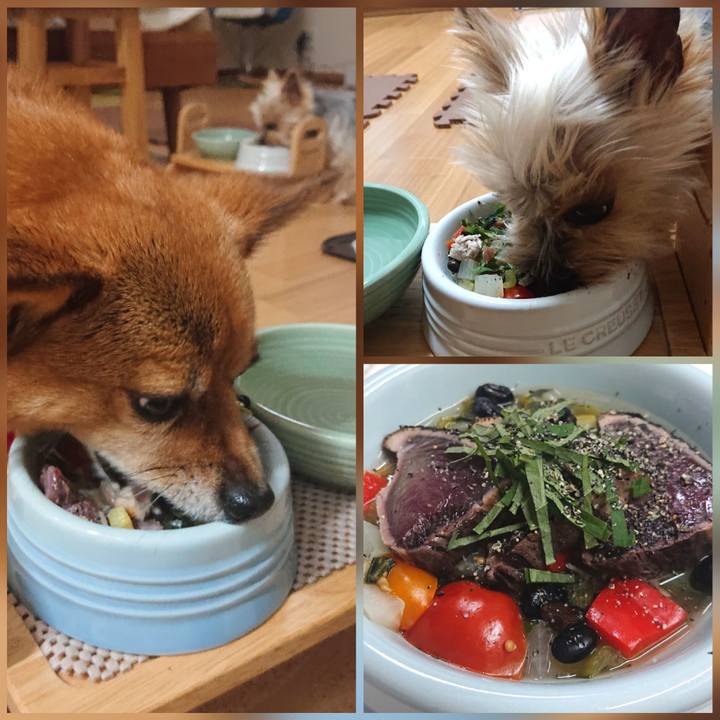 A30443a1 3fce 4d52 a029 091577c52f9e 1622974642134