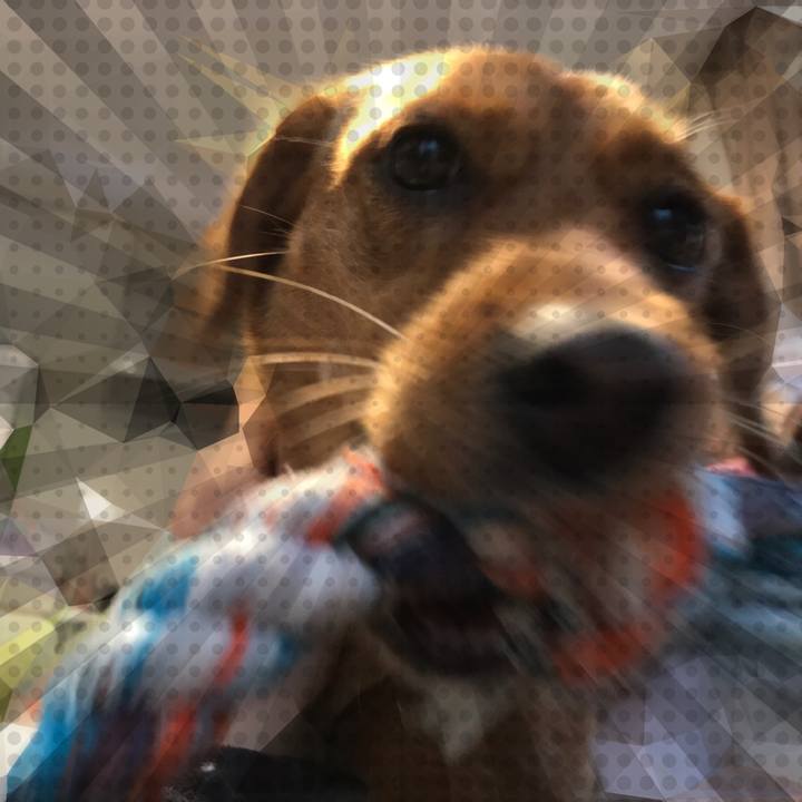 A30454de 29f5 42a9 a9f1 e368cb49dbbd 1514855975166