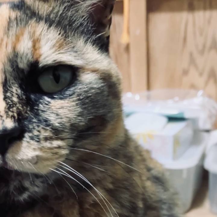 A304a47b 813a 4d3d 96f9 d1ae4e092450 1743155494538