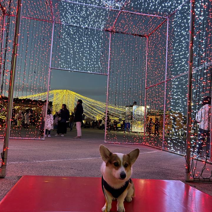 A304b0fb 3564 4b9e b15a 2a4cdb4b7723 1766458355227