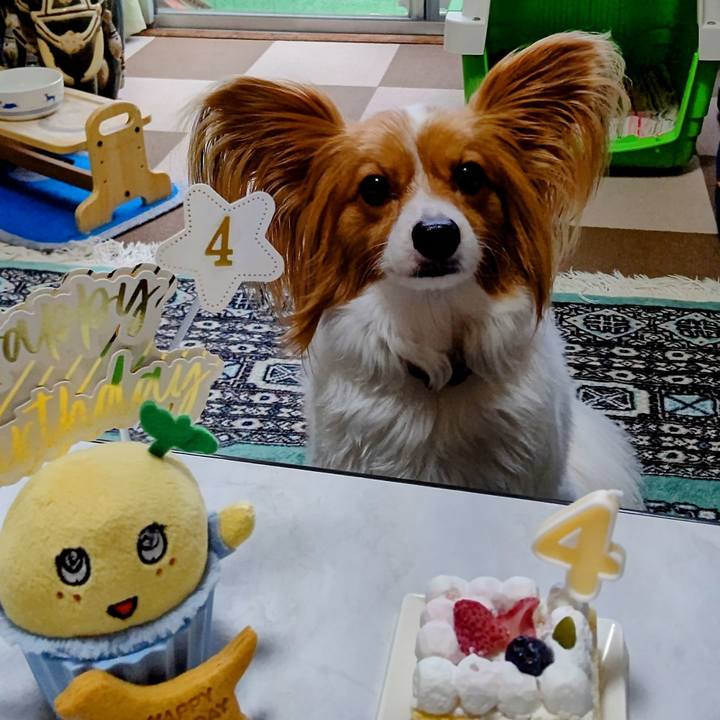 A304c98b 4e02 49be aaa4 b08e6edaa495 1719221525643