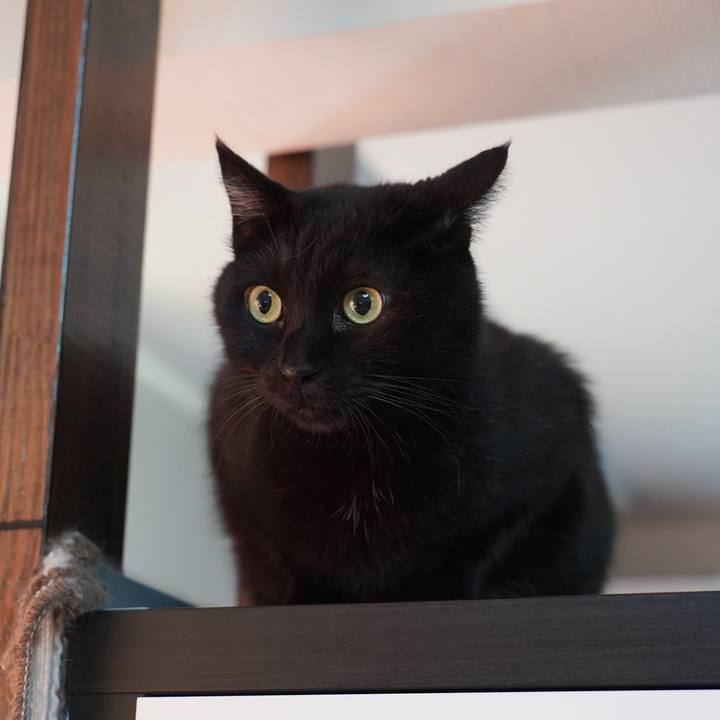 A304cd7d 153d 4a79 a9aa ef75320e17da 1698759163241