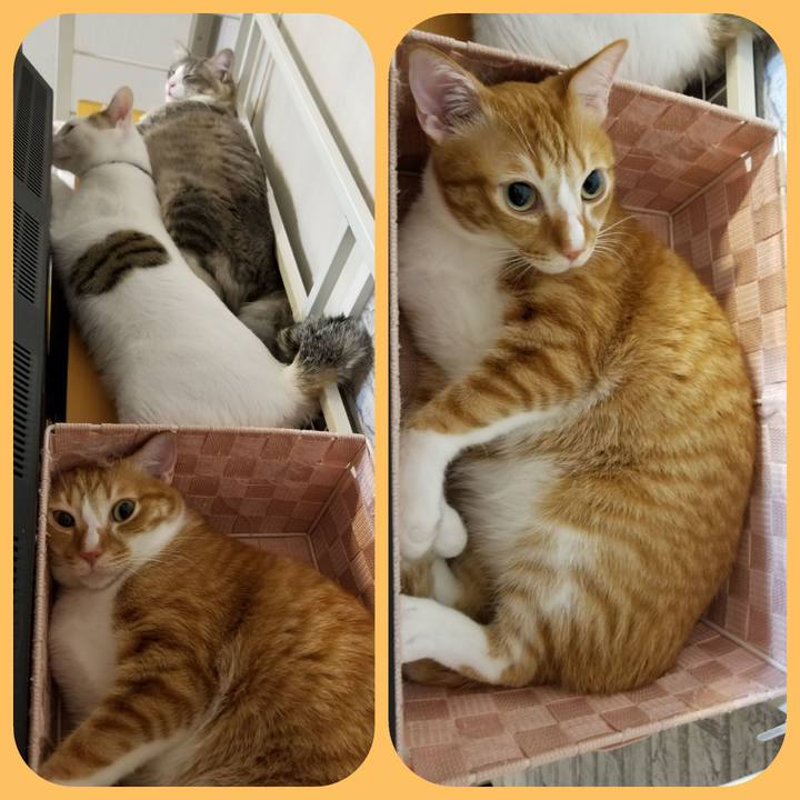 A304fd62 9ff3 4a6e 95a8 007d3e456e78 1525432351076