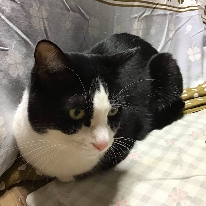 A304fe1b 0b24 4845 bf88 831bd2fc8afa 1734165872949