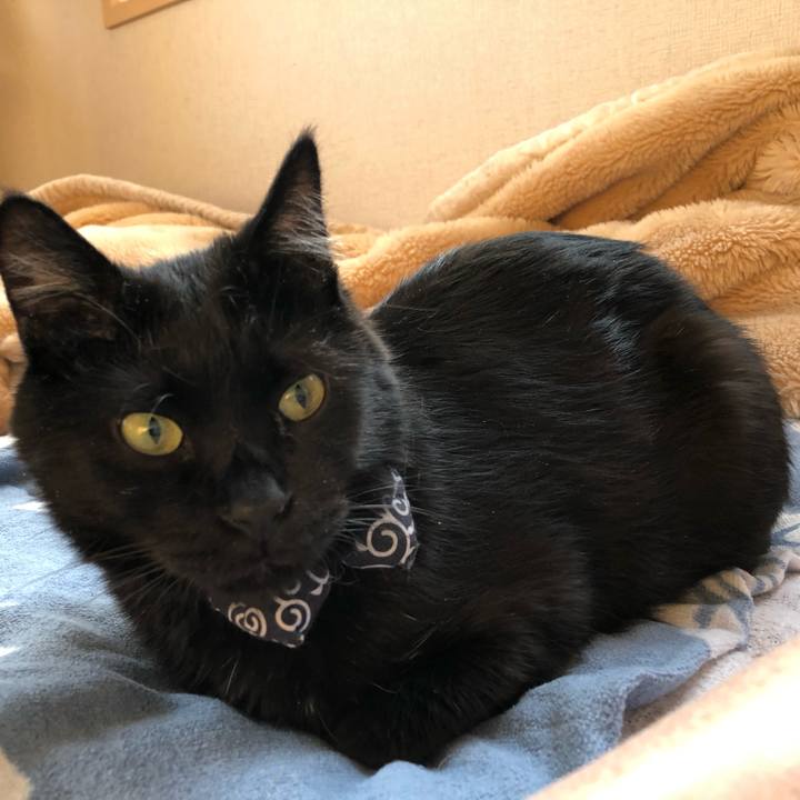 A3050bef 29c4 4727 a55c 4d04a94d73c4 1556051707763