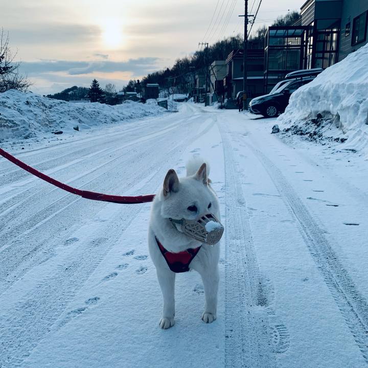 A30531a9 064a 4acc 8fe9 65f8f67db551 1678747349137