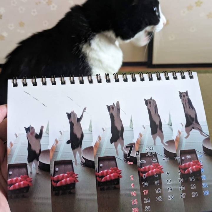 A3053585 84dc 4903 b905 d5ec5becbaa2 1688801305055