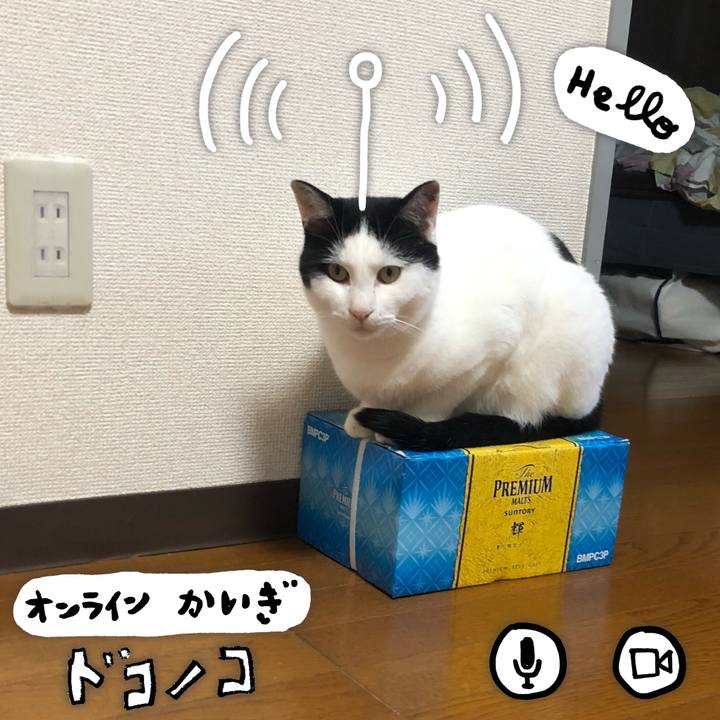 A3053883 7a29 47af adda 715d027bc4f3 1594027583941