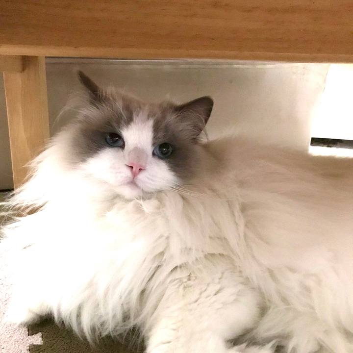 A30543fe 6150 42f1 9572 9710b801a4c9 1581240439654