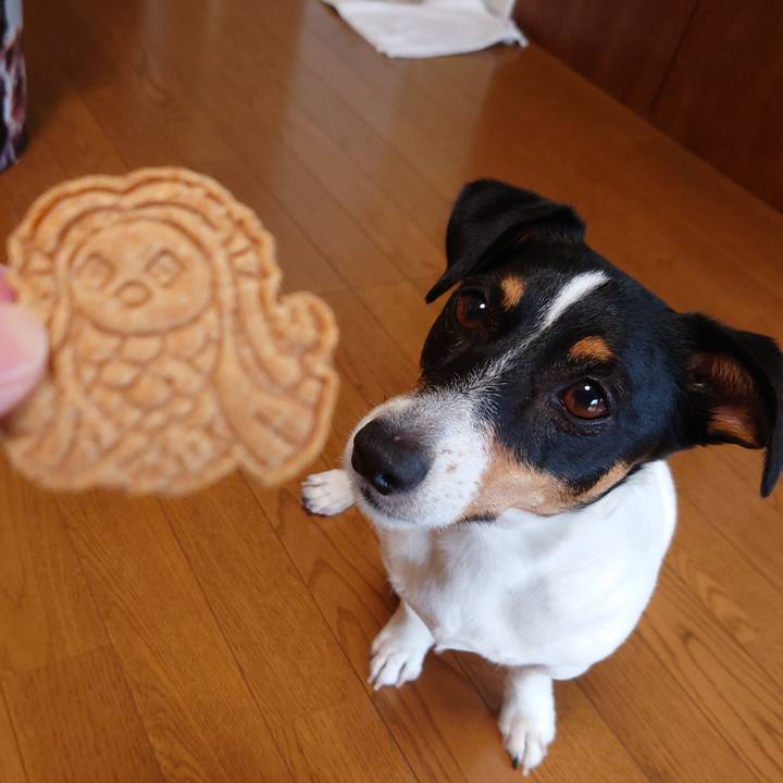 A30552d9 30a4 4ed0 a429 09799bdbb2ca 1659765666174