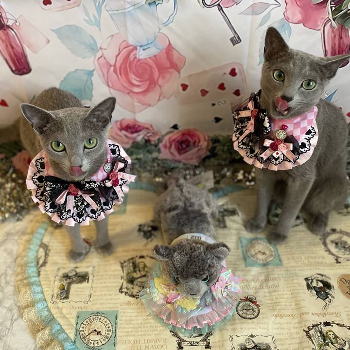 A305ac39 8bbb 48a8 a8a9 54c6978b3b57 1689910636994