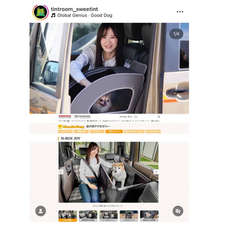 A305bb7a 1090 465c a932 f86c4bd26df6 1748859762942