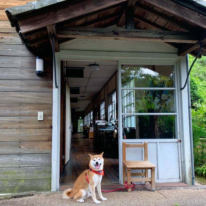 A305e65e 7426 4ed0 8bd2 6c406de87a22 1624179334056