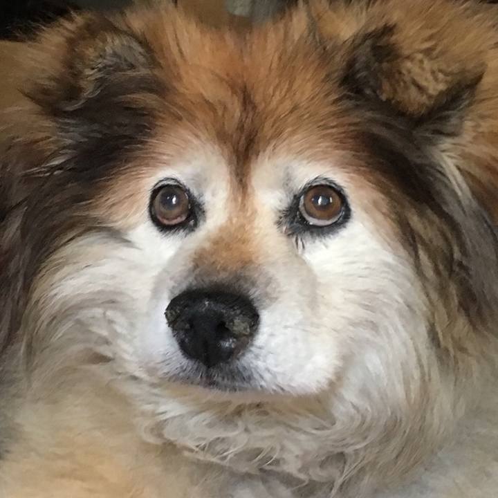 A306005f de19 4195 8691 141e7b08b1ce 1571629683829