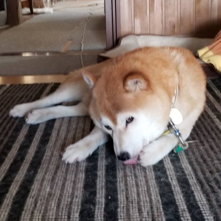 A3063a76 6463 4fa5 b599 7b6100a4bd5c 1626827980483