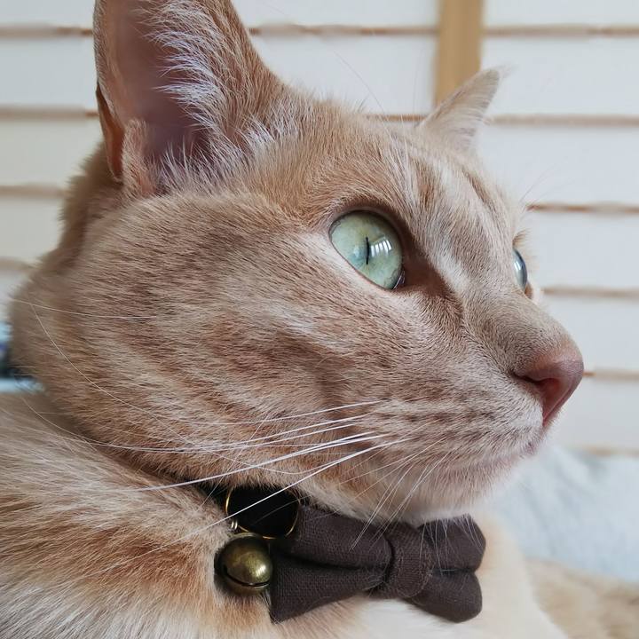 A3065c03 2b87 4c93 9c50 2d8216477c7c 1647134512668