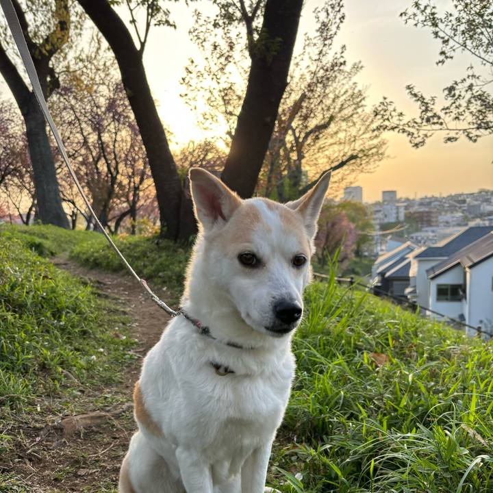 A3067fa8 34c0 4151 83ec a0a3a771dcd9 1713091238112