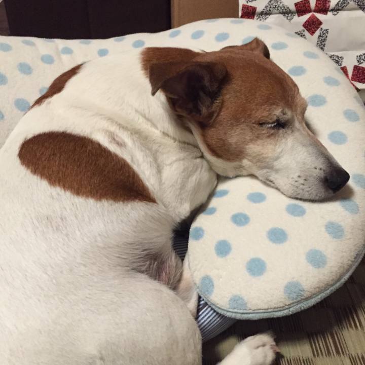 A30683fc 2c92 45c5 b57b df2b565d3782 1526301176423