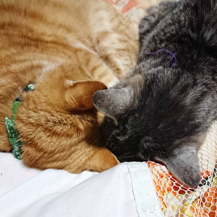 A3069155 cd91 433b b76b b06b10d82d1a 1581341699900