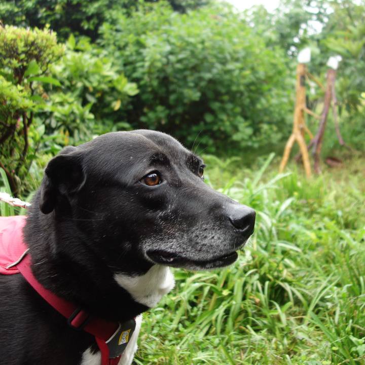 A306a555 f7aa 49d4 bd52 bea02dbb9cad 1684542307597