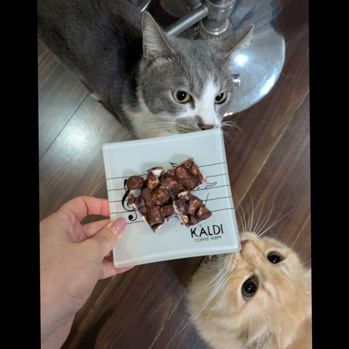 A306cc48 b303 462b a8fd 2bfdea8063d5 1763978935043